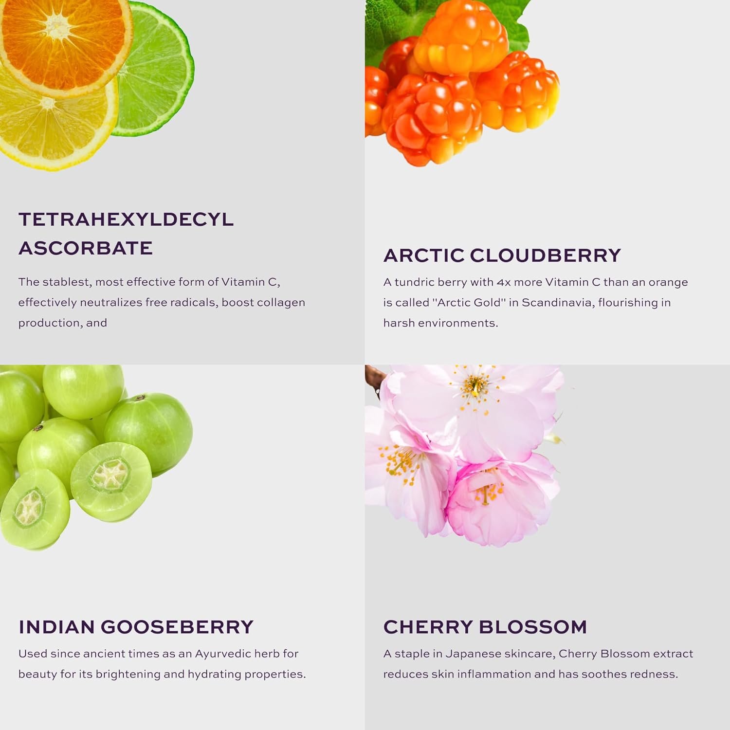 KNOW Beauty Arctic Gold Vitamin C Mask - Brighten Dull Skin, Remove Dark Spots and Pigmentation, Reverse Sun Damage, Boost Collagen, For All Skin Types - With Cloudberry and Tetrahexyldecyl Ascorbate - Image 6