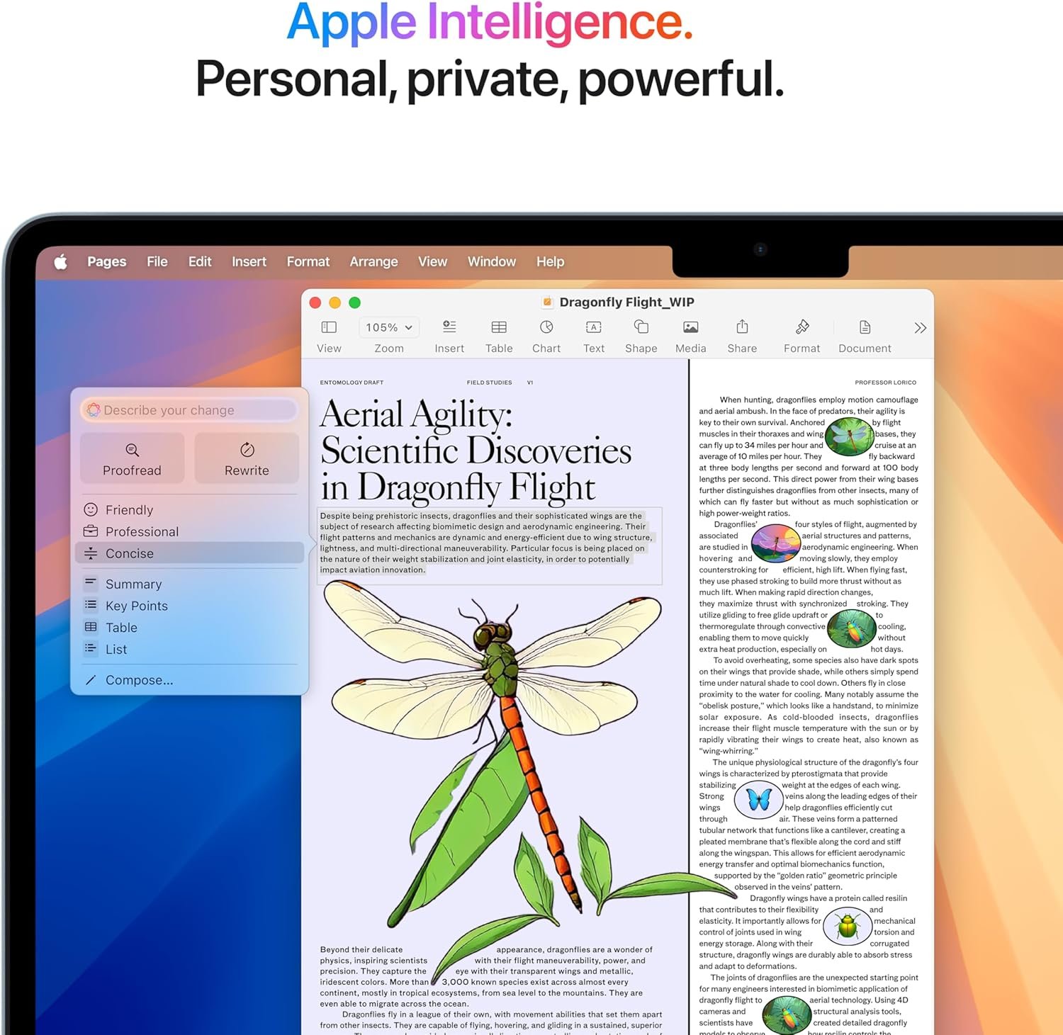 Apple 2025 MacBook Air 13-inch Laptop with M4 chip: Built for Apple Intelligence, 13.6-inch Liquid Retina Display, 16GB Unified Memory, 512GB SSD Storage, 12MP Center Stage Camera, Touch ID; Sky Blue - Image 6